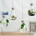 Kleine hängende Klarglas-Tränenvase Unregelmäßiges Terrarium